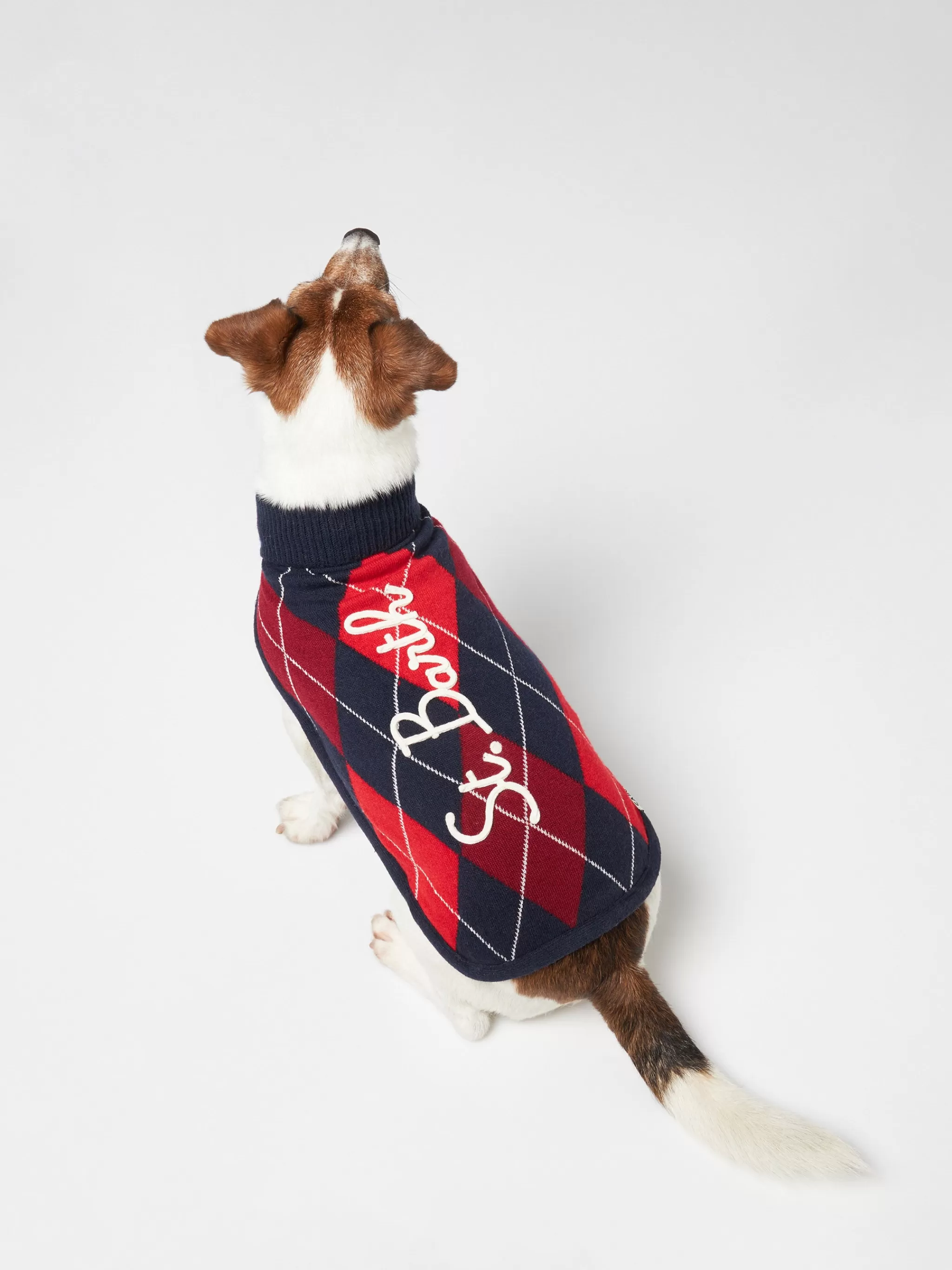 MC2 Saint Barth Dog sweater with Argyle print Flash Sale