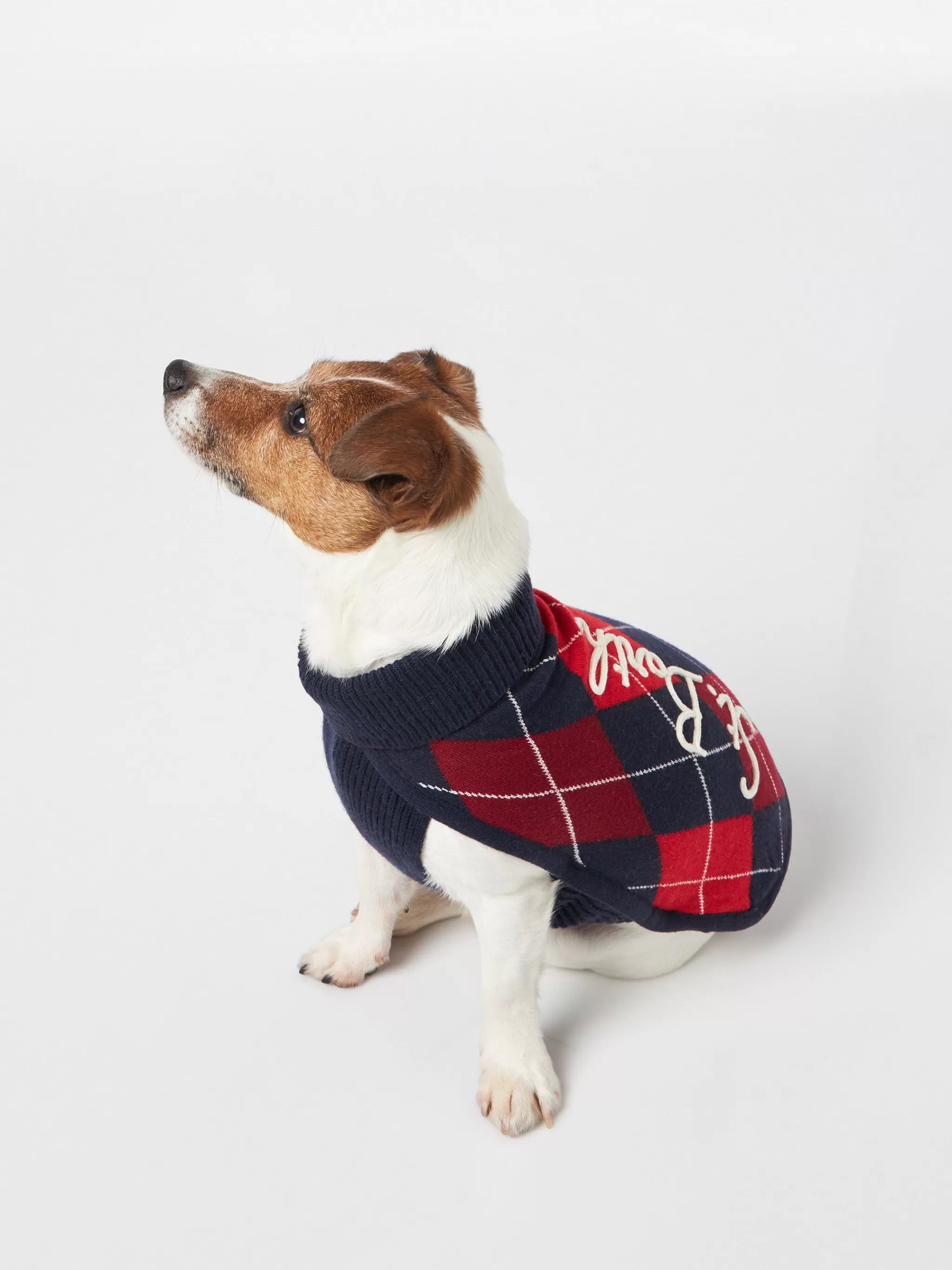 MC2 Saint Barth Dog sweater with Argyle print Flash Sale