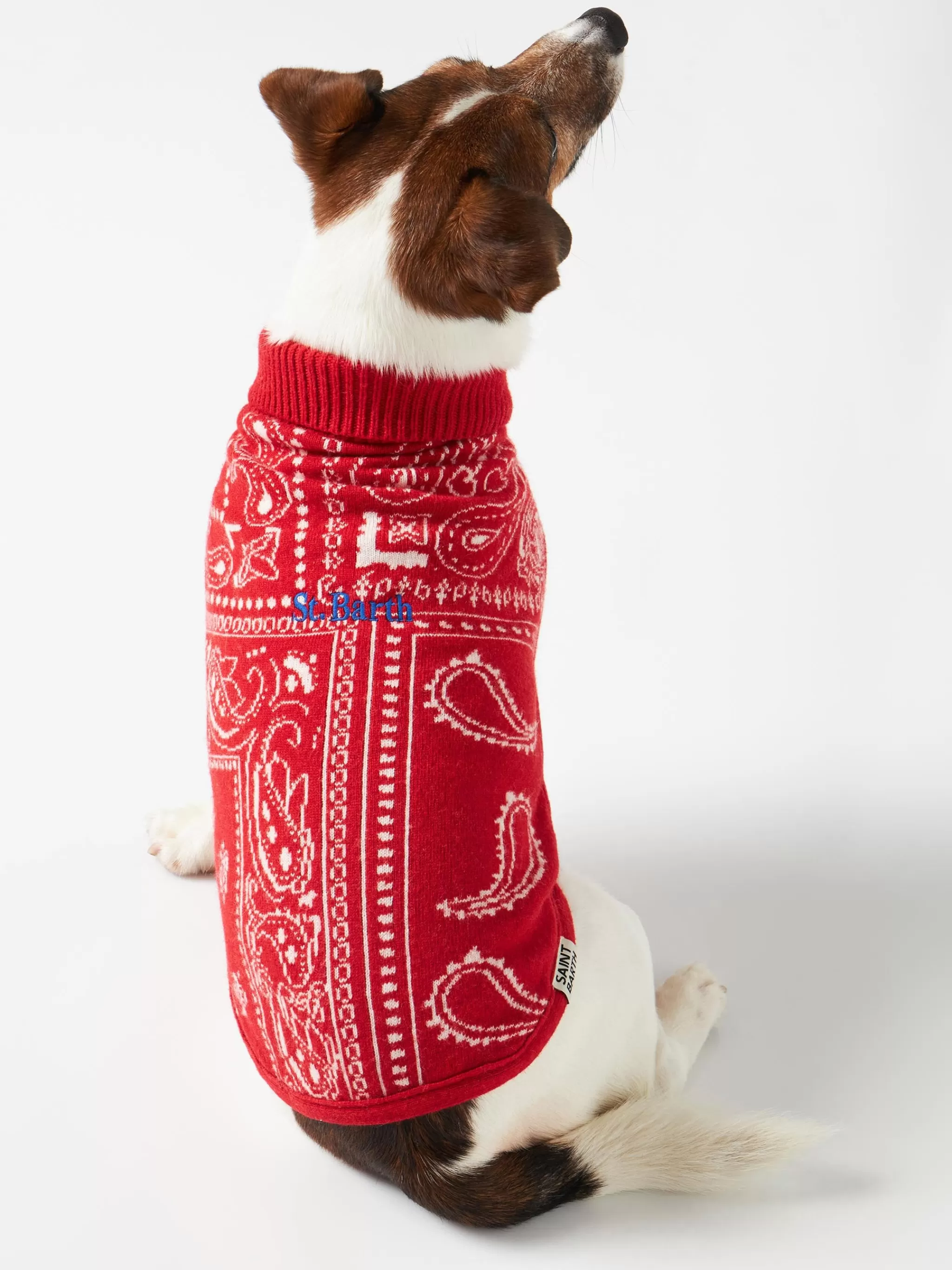 MC2 Saint Barth Dog sweater with bandanna print Cheap