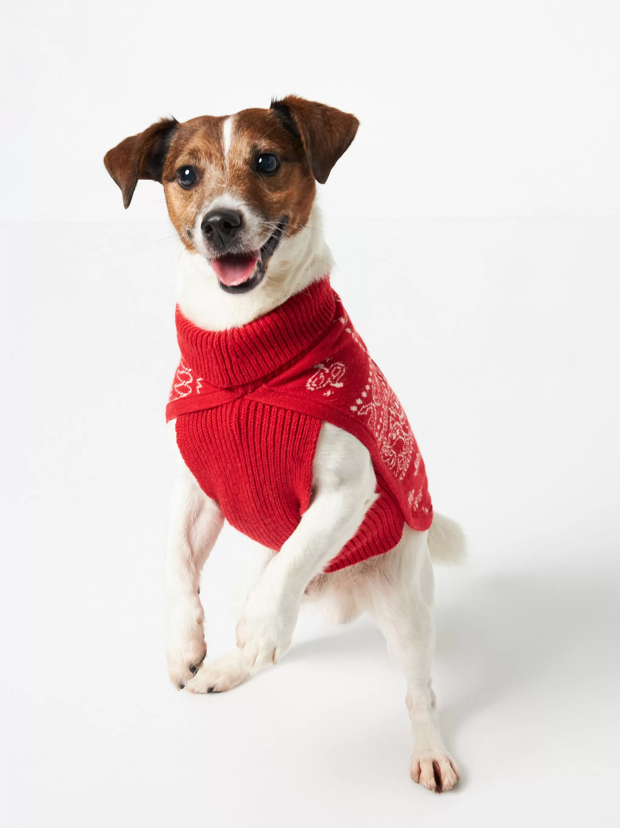 MC2 Saint Barth Dog sweater with bandanna print Cheap