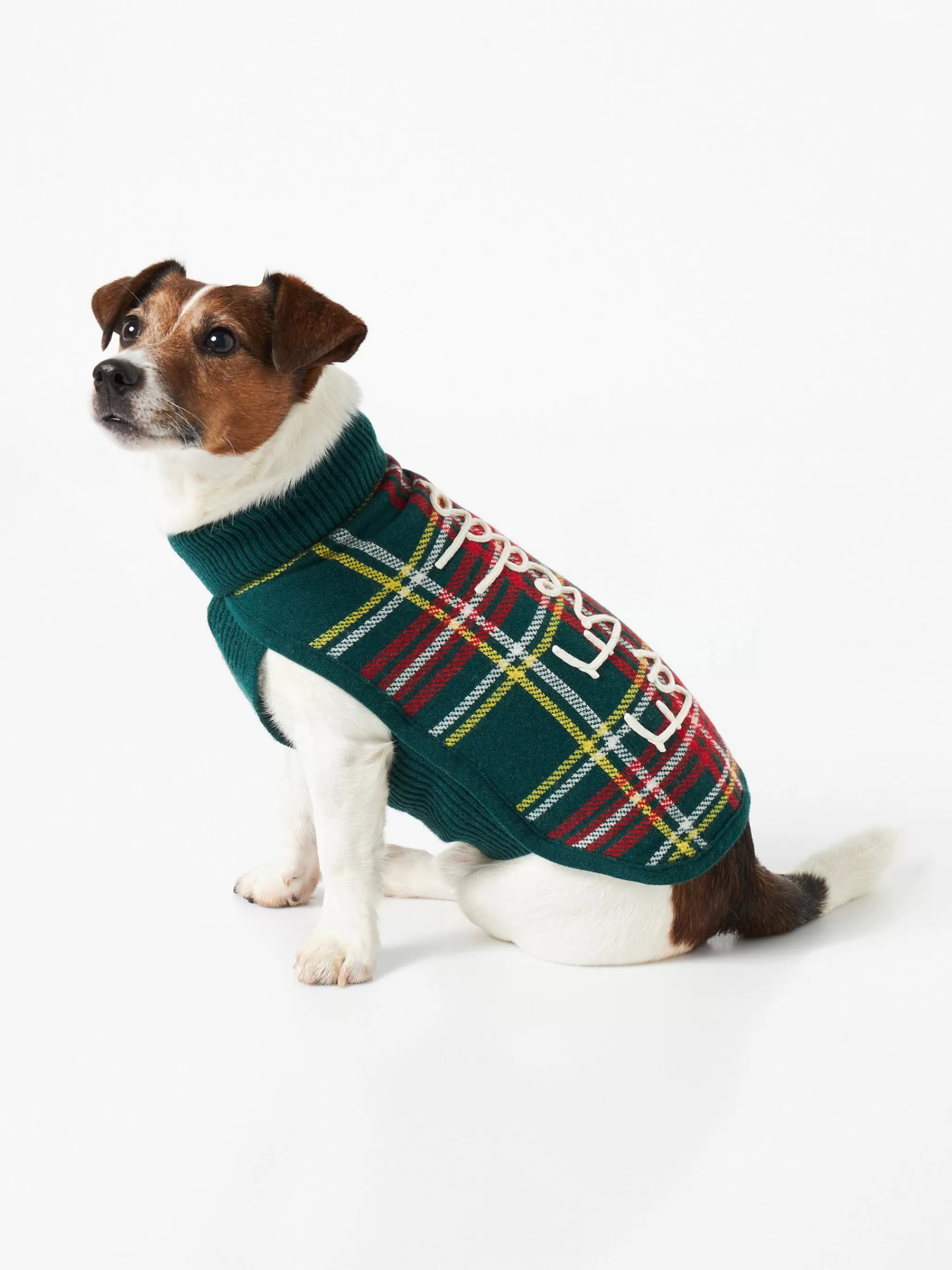 MC2 Saint Barth Dog sweater with Fa Freddo embroidery Cheap