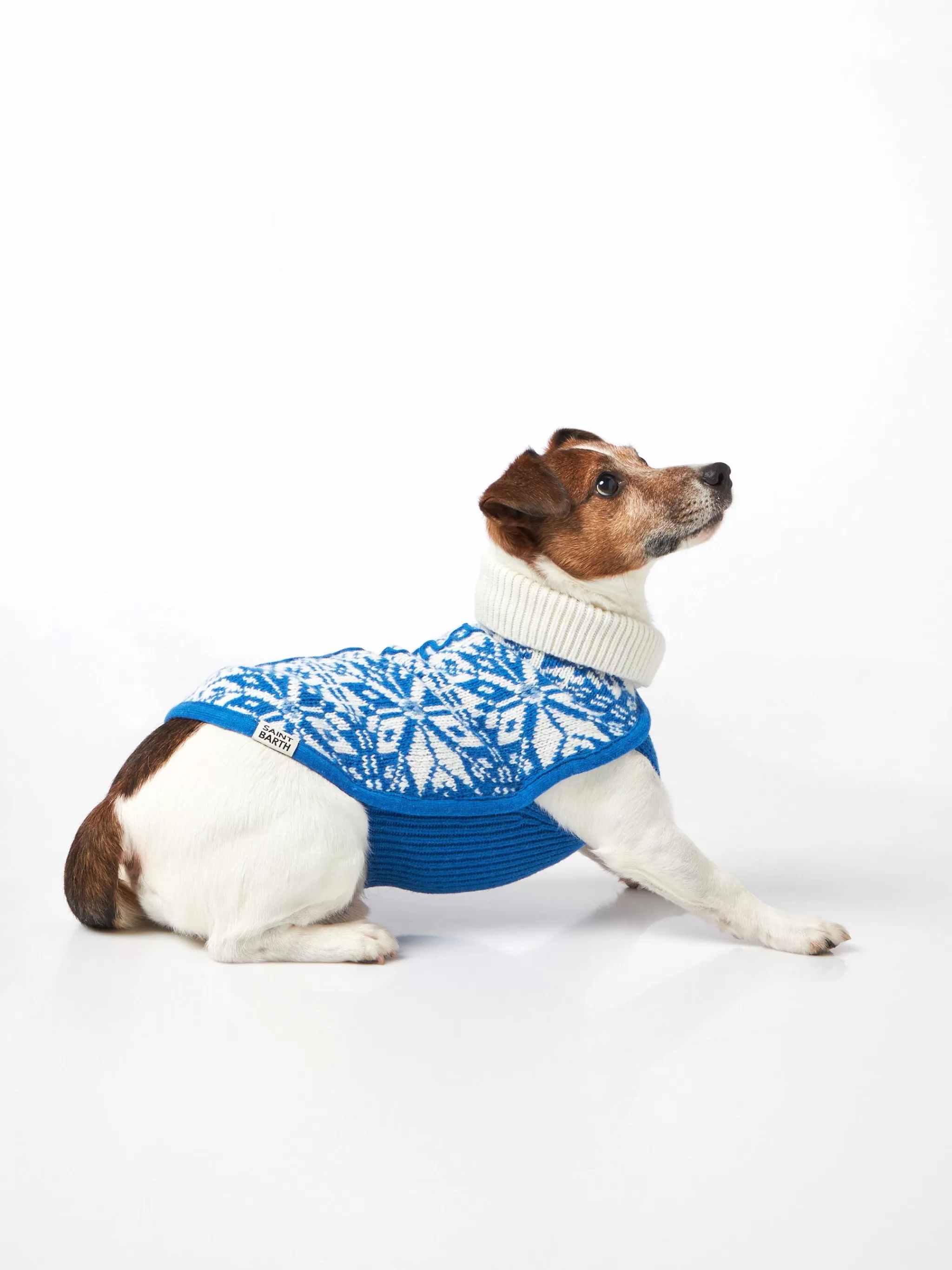 MC2 Saint Barth Dog sweater with Nordic print Cheap