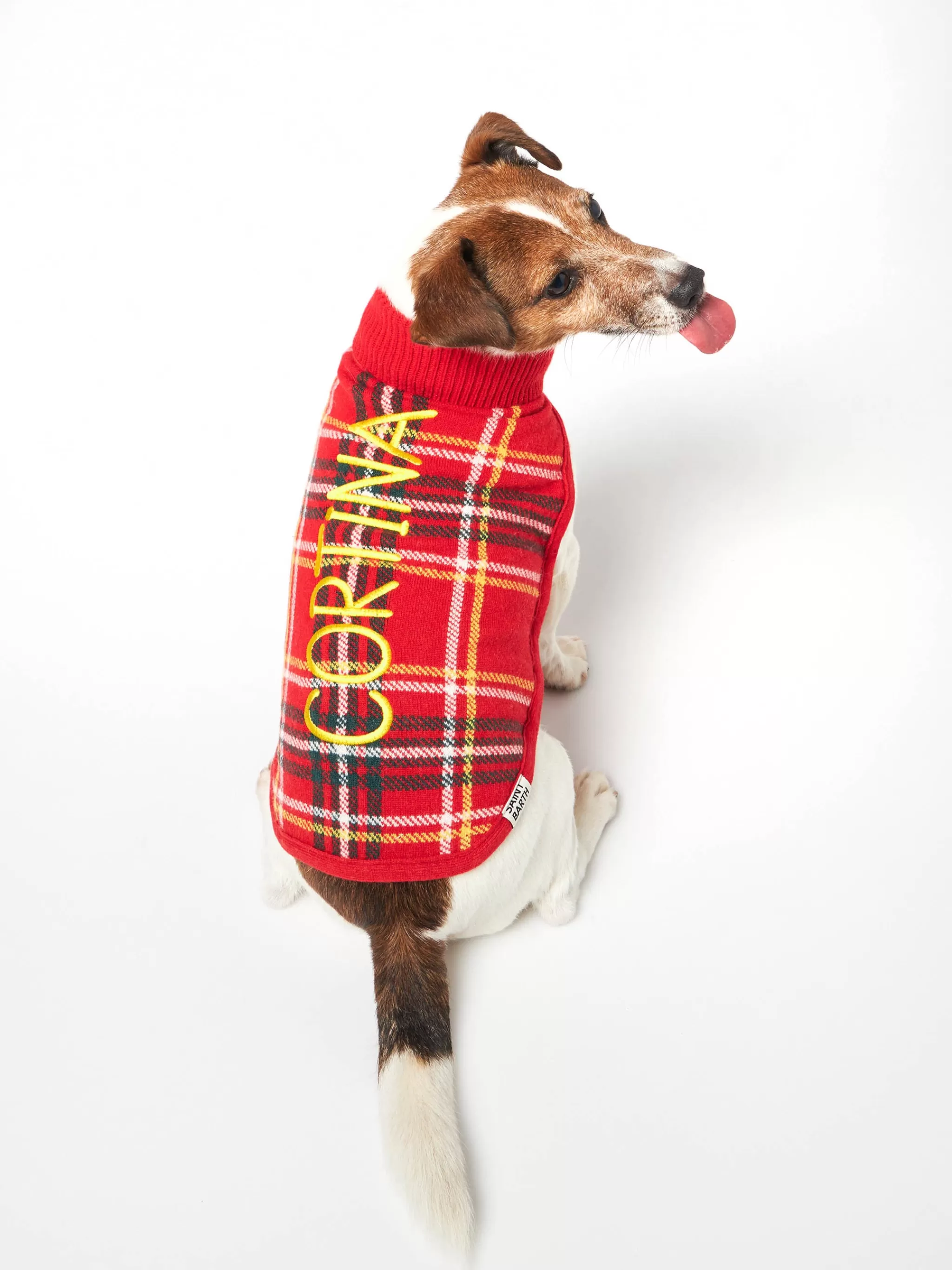 MC2 Saint Barth Dog sweater with Tartan print Best