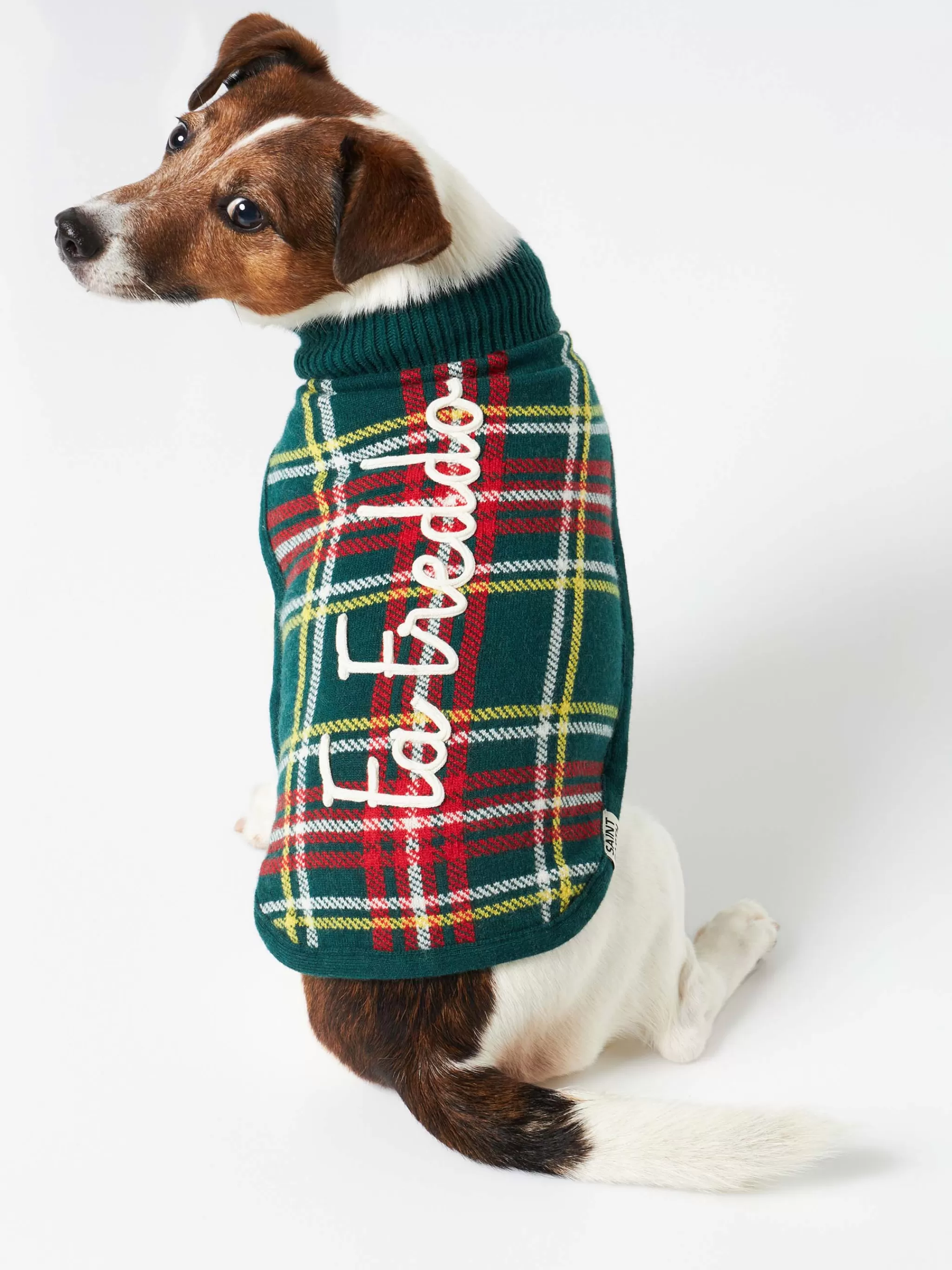 MC2 Saint Barth Dog sweater with Tartan print Clearance