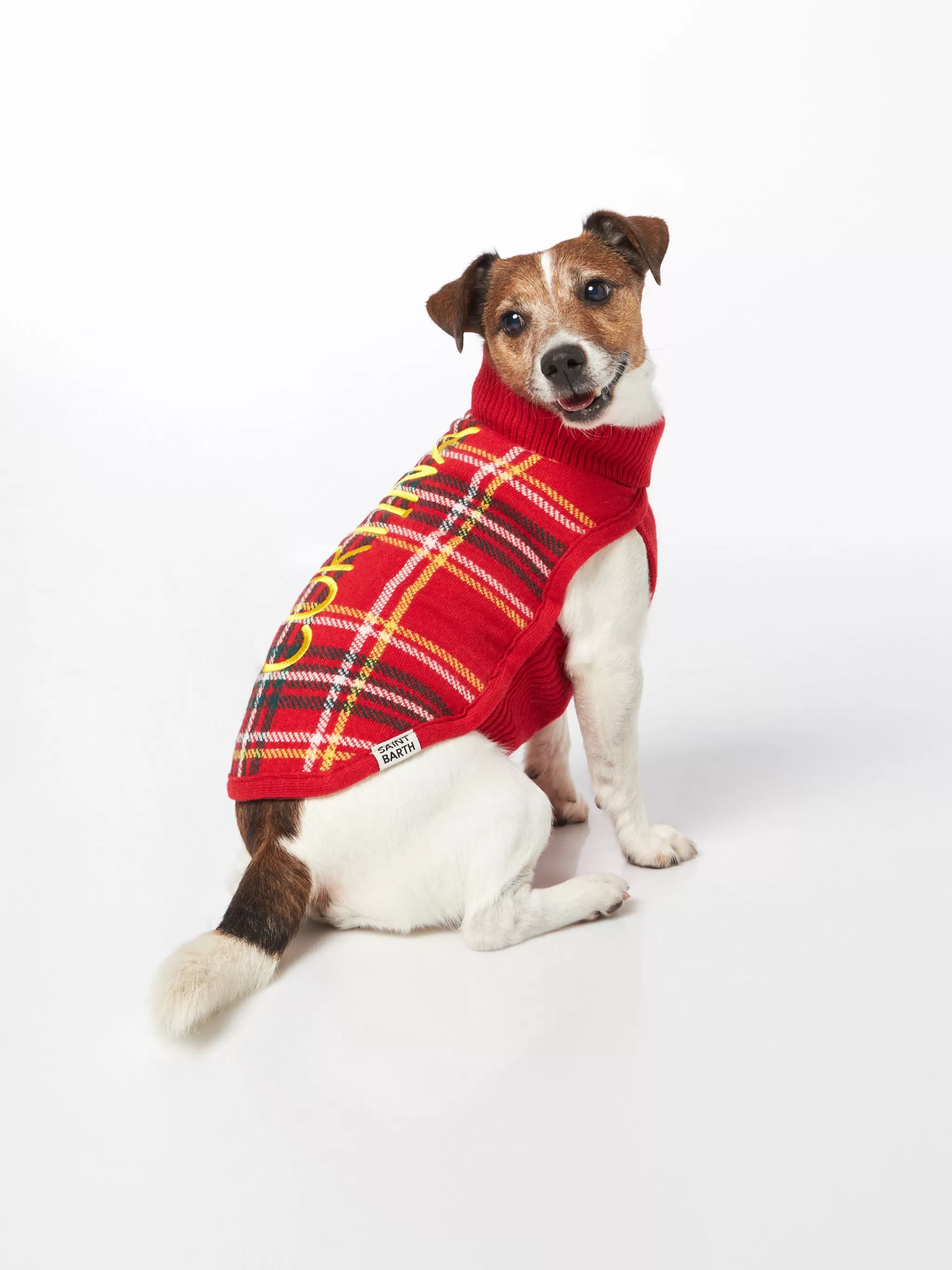 MC2 Saint Barth Dog sweater with Tartan print Best