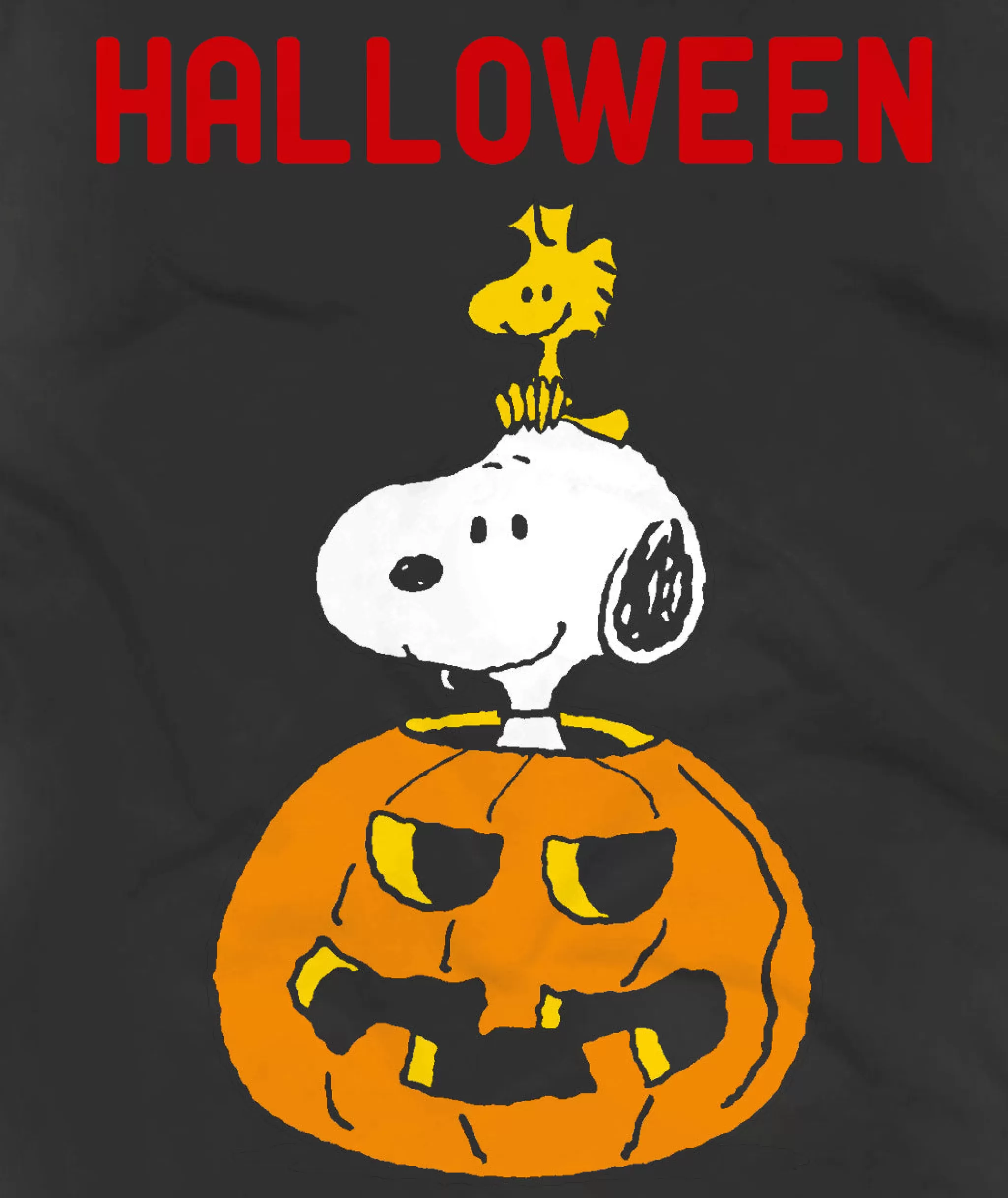 MC2 Saint Barth Kid T-shirt with Halloween print | SNOOPY - PEANUTS™ SPECIAL EDITION Sale